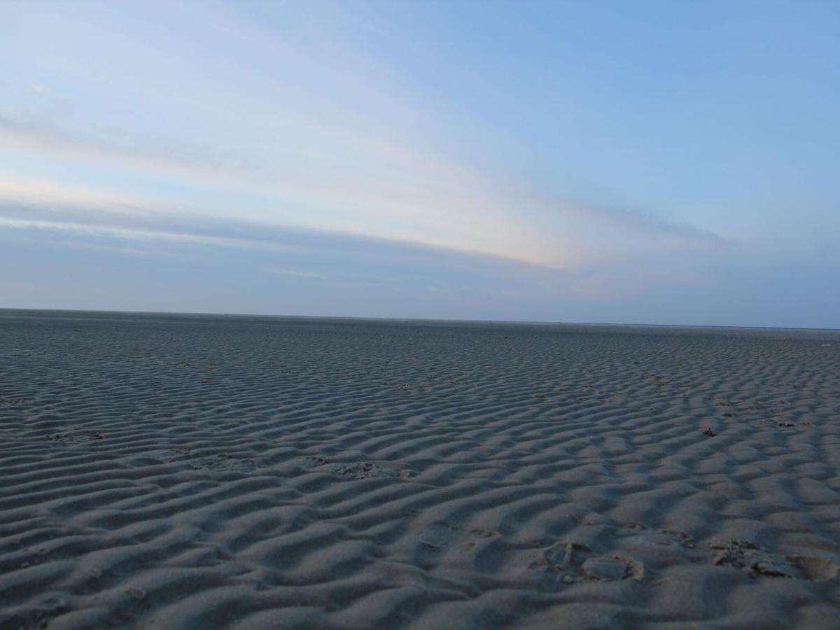 Gorgeous Holiday Home In Texel With Sauna Westermient Buitenkant foto
